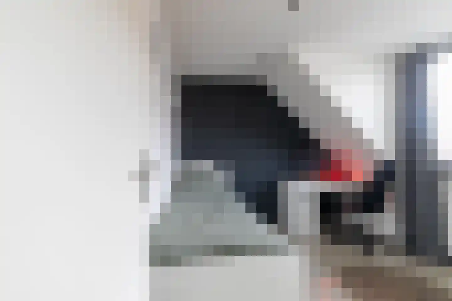Zeldenrustlaan 25 Raamsdonksveer thumbnail 37