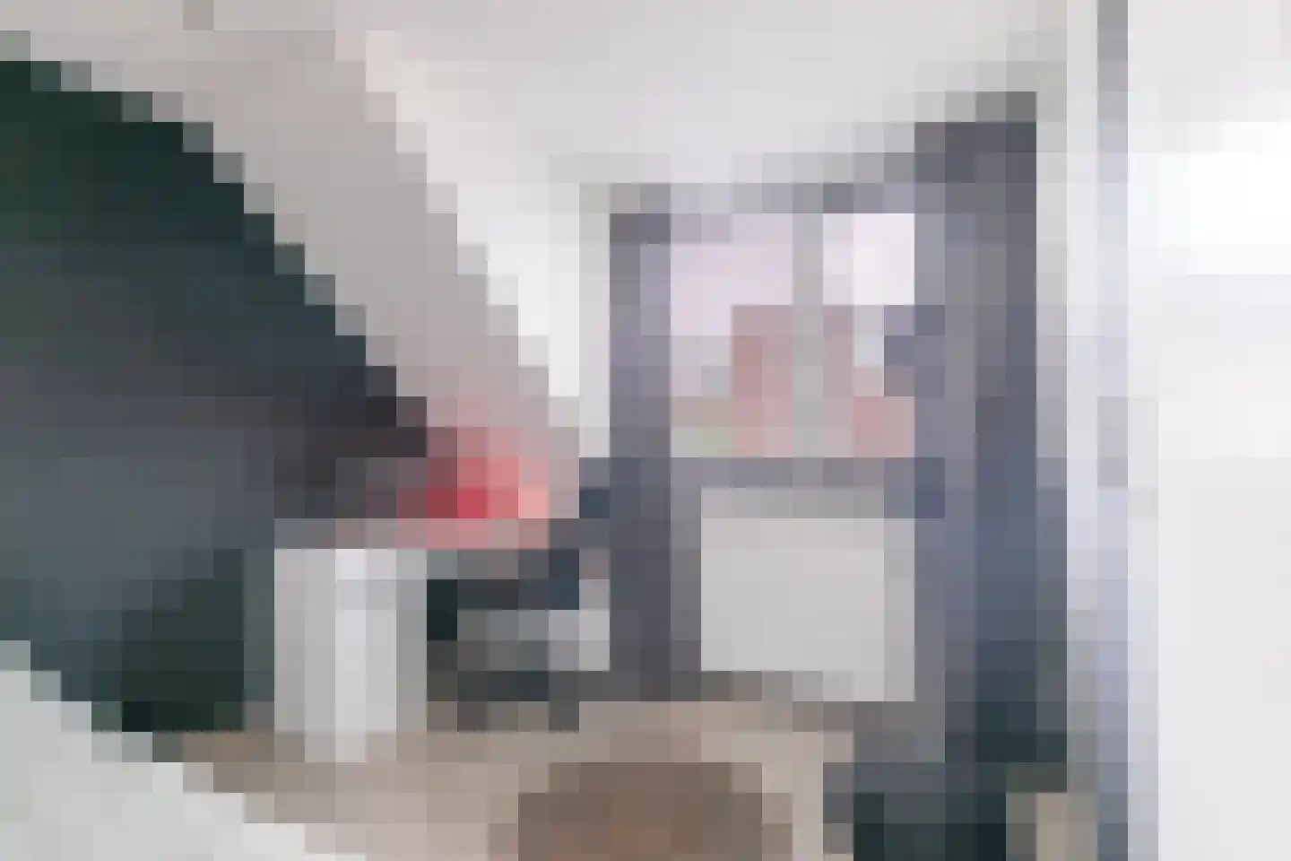 Zeldenrustlaan 25 Raamsdonksveer thumbnail 38