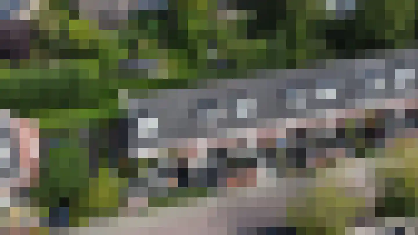 Zeldenrustlaan 25 Raamsdonksveer thumbnail 46