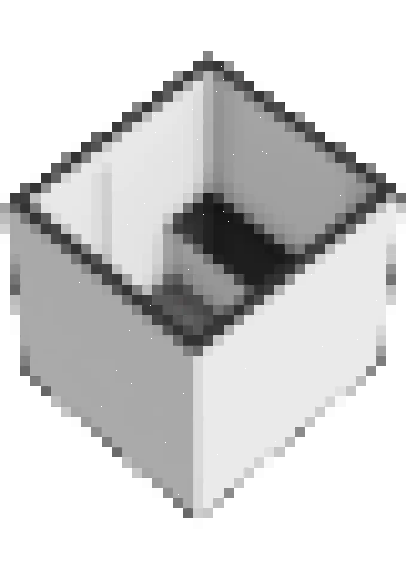 Zeldenrustlaan 25 Raamsdonksveer thumbnail 53