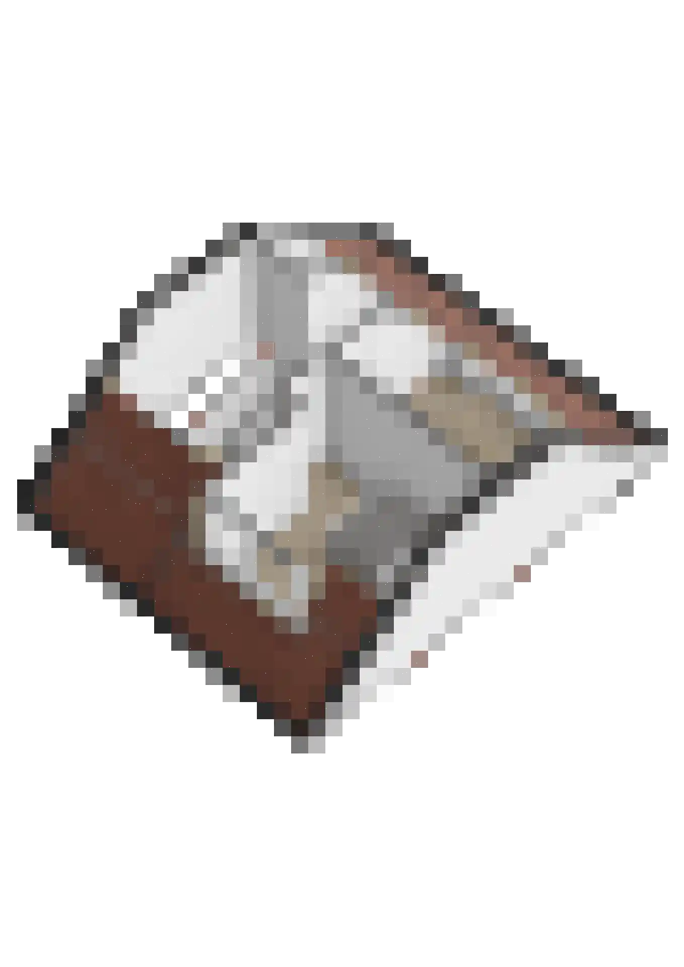 Zeldenrustlaan 25 Raamsdonksveer thumbnail 56
