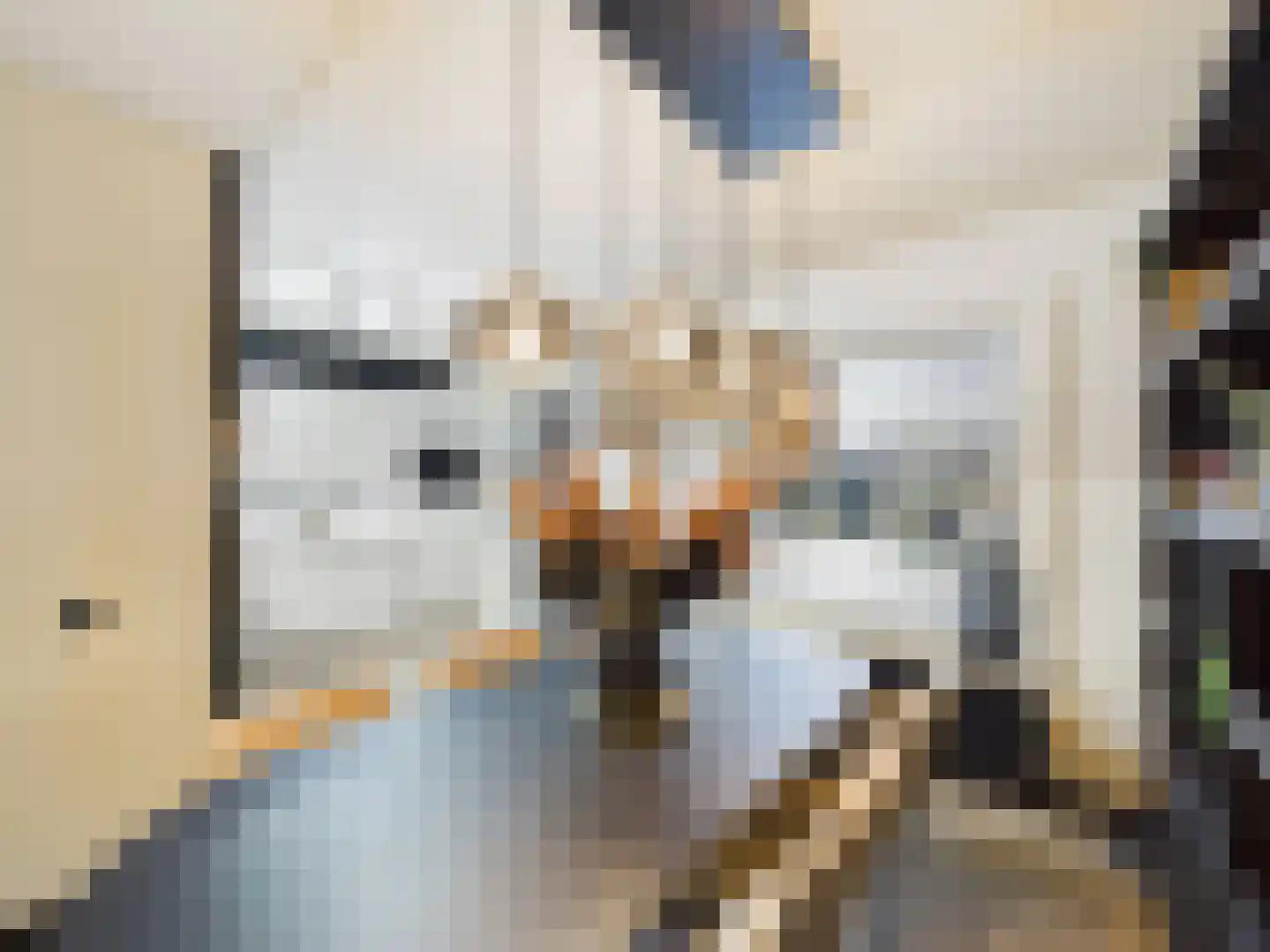 Zeldenrustlaan 3 Terneuzen thumbnail 10