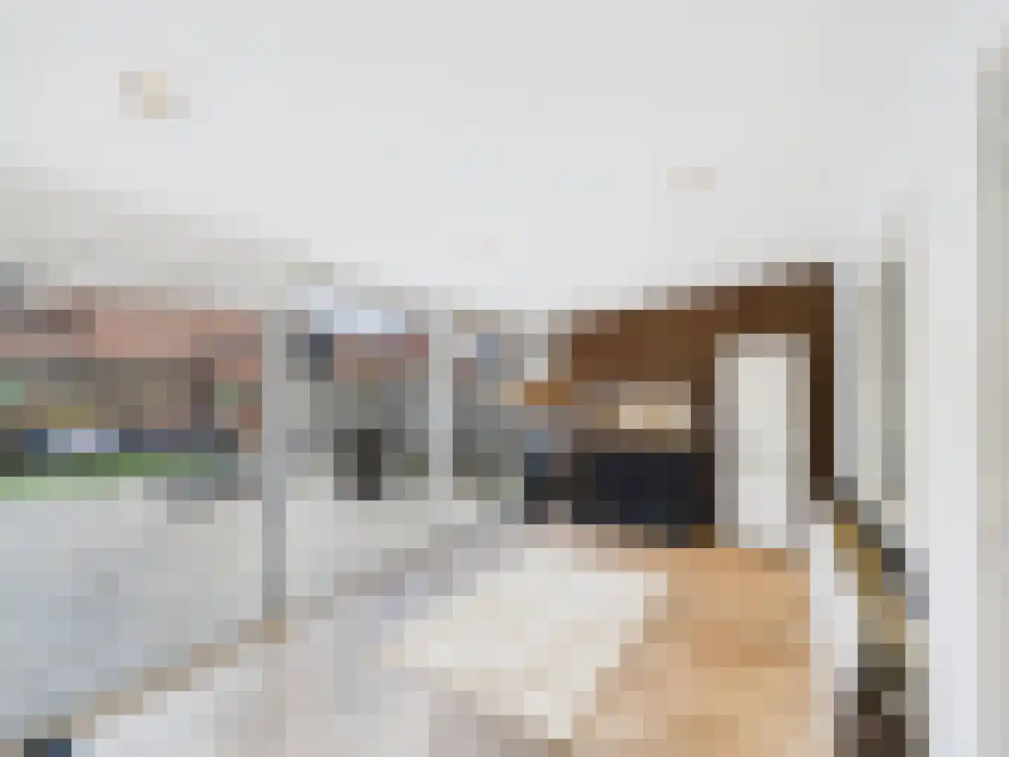 Zeldenrustlaan 3 Terneuzen thumbnail 12