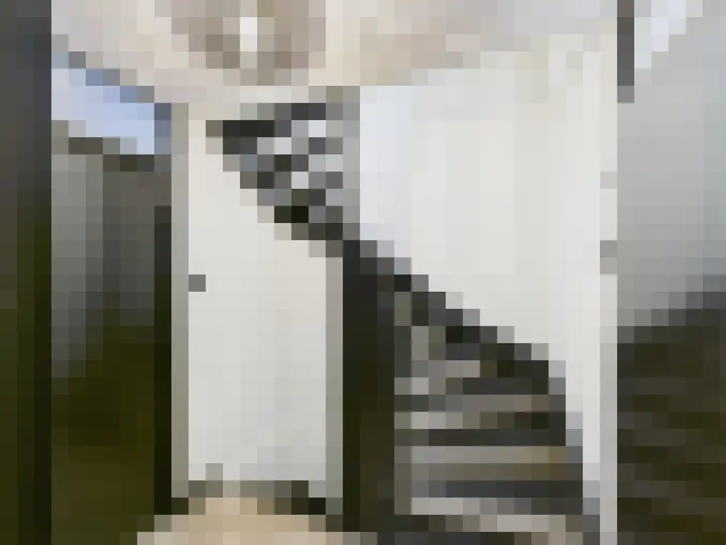 Zeldenrustlaan 3 Terneuzen thumbnail 17