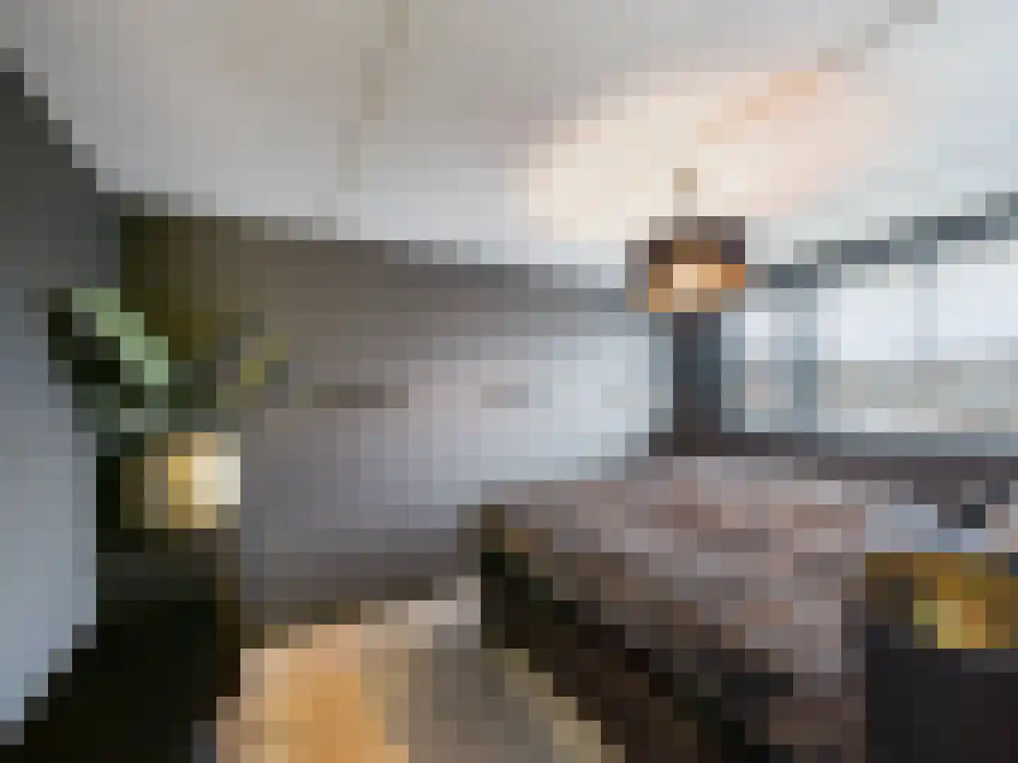Zeldenrustlaan 3 Terneuzen thumbnail 18