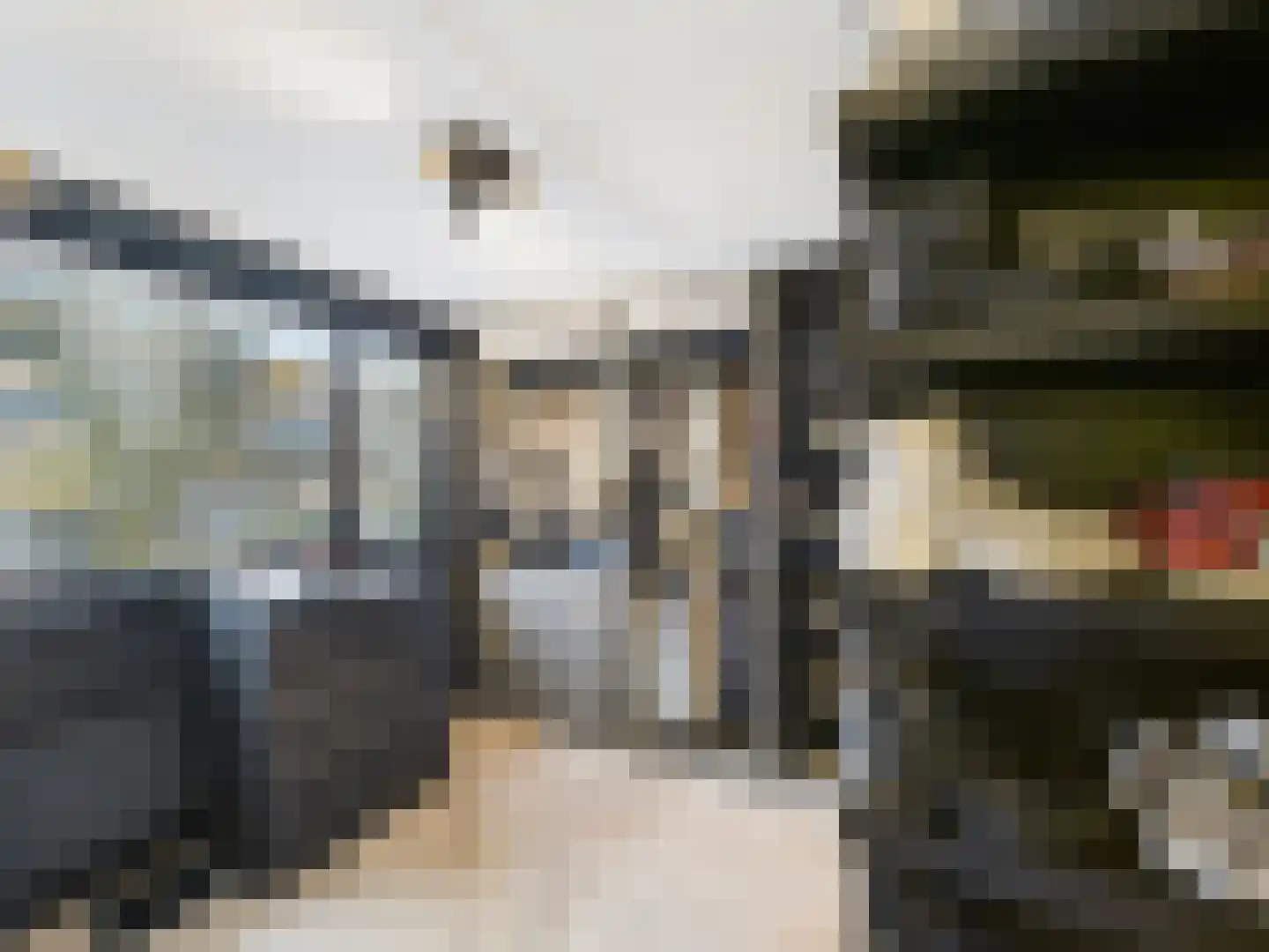 Zeldenrustlaan 3 Terneuzen thumbnail 22