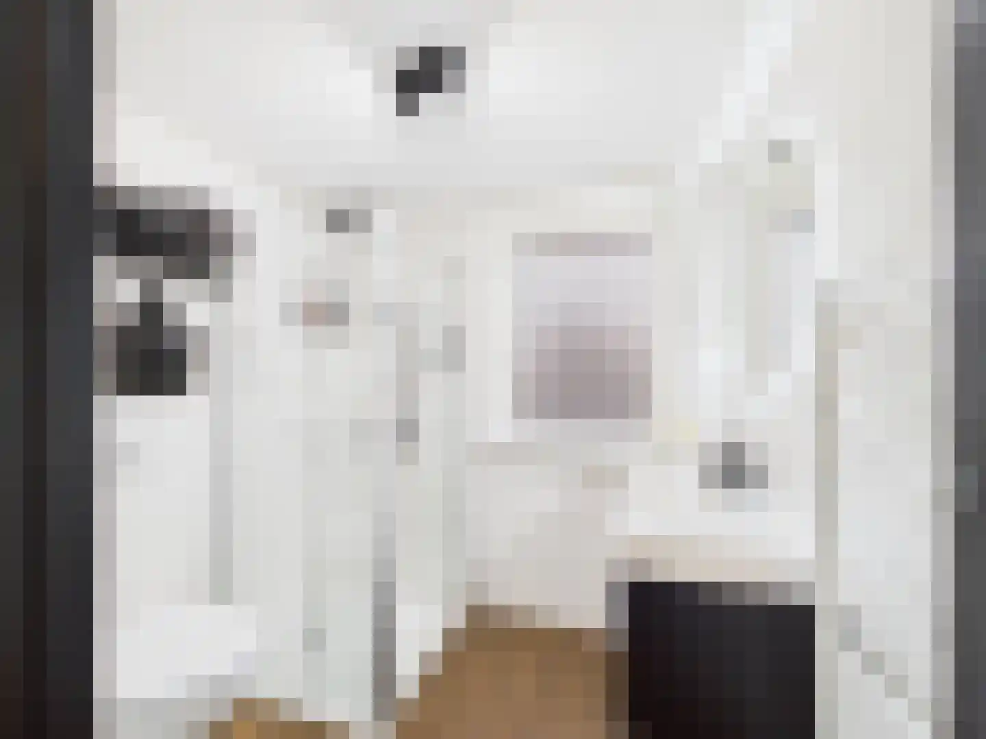 Zeldenrustlaan 3 Terneuzen thumbnail 25
