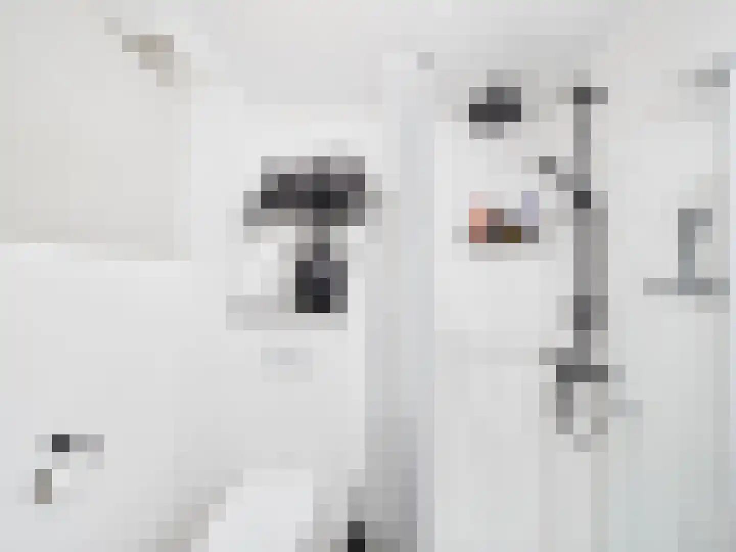 Zeldenrustlaan 3 Terneuzen thumbnail 27