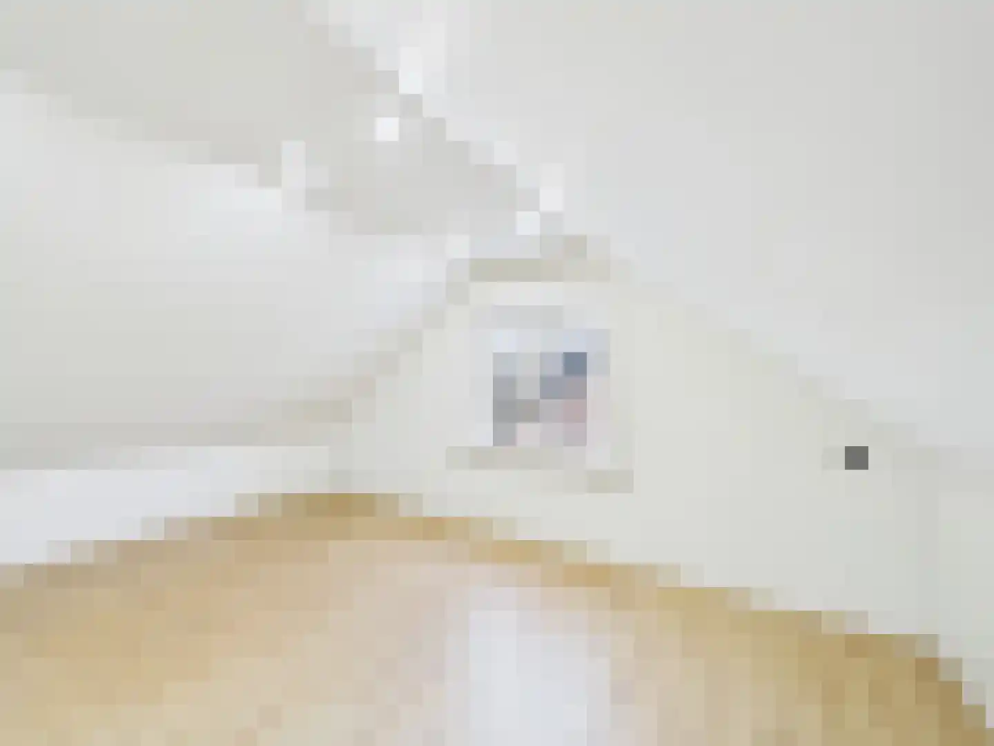 Zeldenrustlaan 3 Terneuzen thumbnail 30