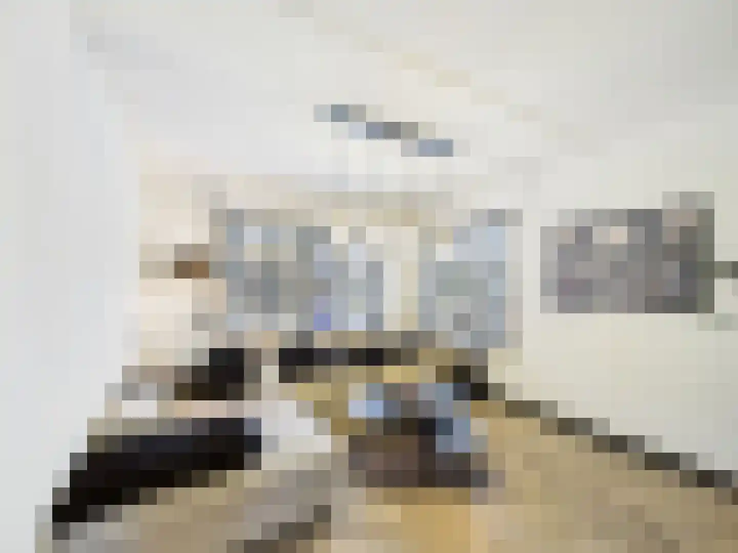 Zeldenrustlaan 3 Terneuzen thumbnail 4