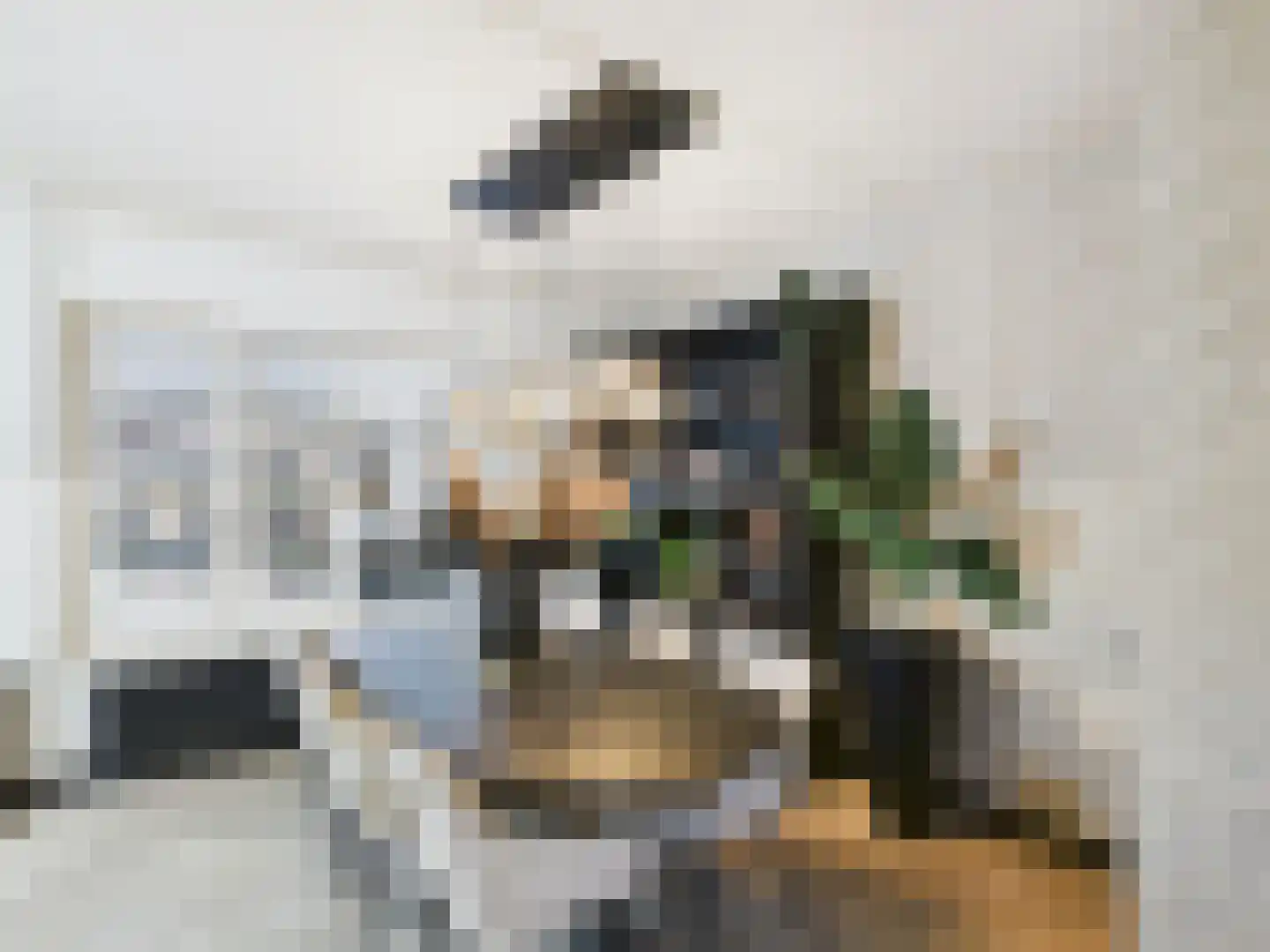 Zeldenrustlaan 3 Terneuzen thumbnail 7