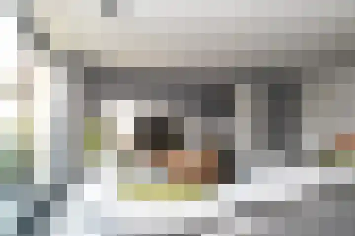 Zeldenrustlaan 6 Raamsdonksveer thumbnail 11