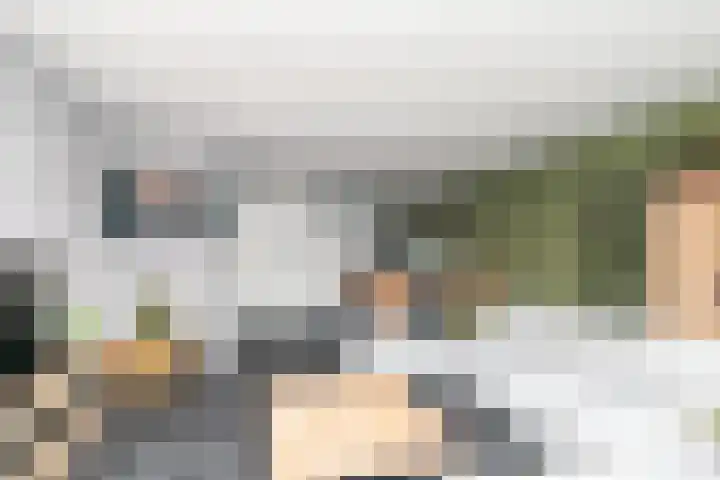 Zeldenrustlaan 6 Raamsdonksveer thumbnail 12