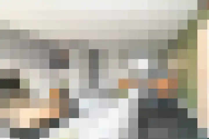 Zeldenrustlaan 6 Raamsdonksveer thumbnail 13