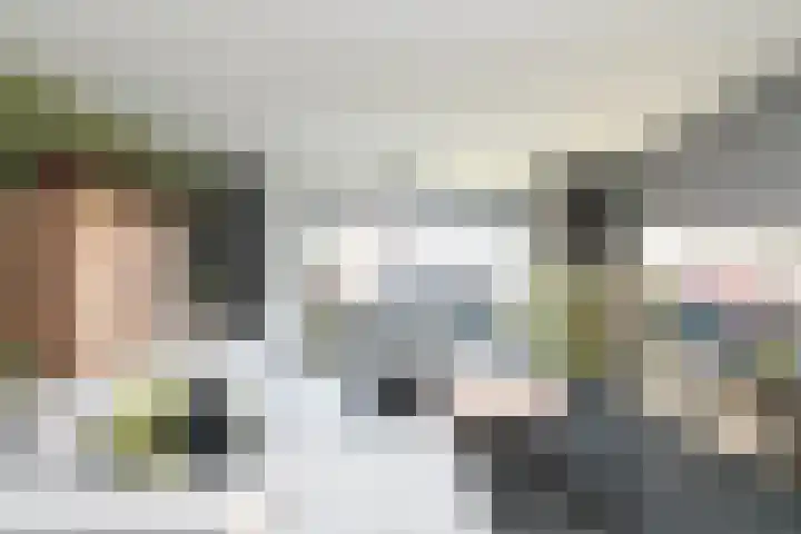 Zeldenrustlaan 6 Raamsdonksveer thumbnail 16
