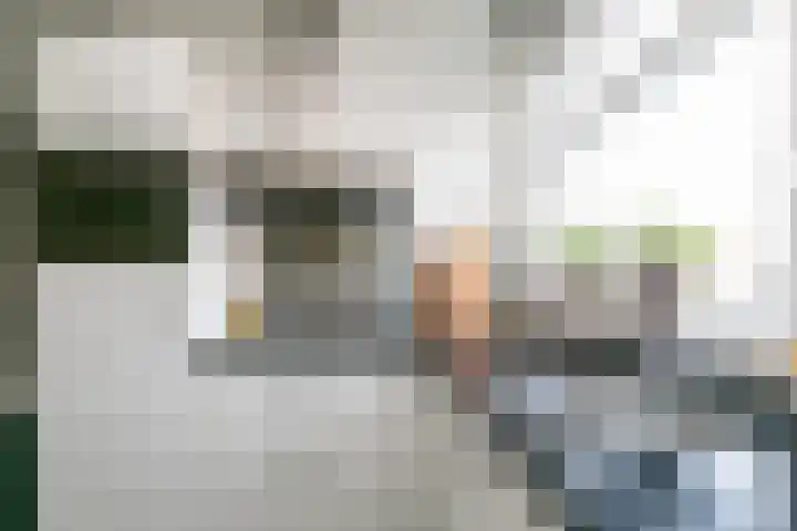Zeldenrustlaan 6 Raamsdonksveer thumbnail 24