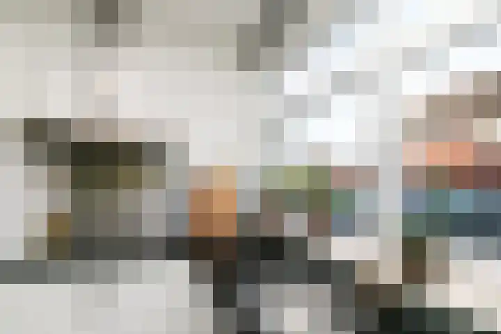 Zeldenrustlaan 6 Raamsdonksveer thumbnail 25