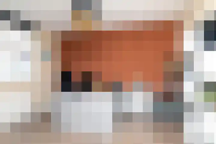 Zeldenrustlaan 6 Raamsdonksveer thumbnail 29