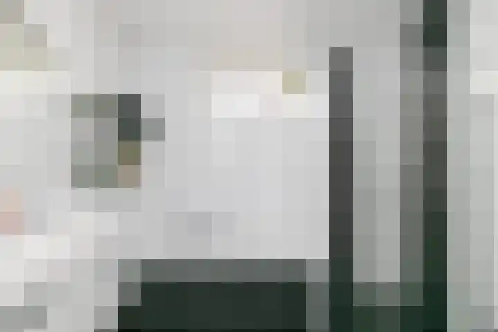 Zeldenrustlaan 6 Raamsdonksveer thumbnail 34