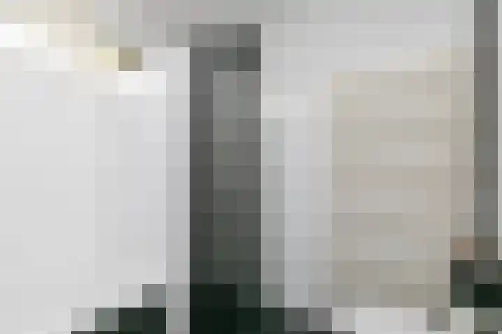 Zeldenrustlaan 6 Raamsdonksveer thumbnail 36