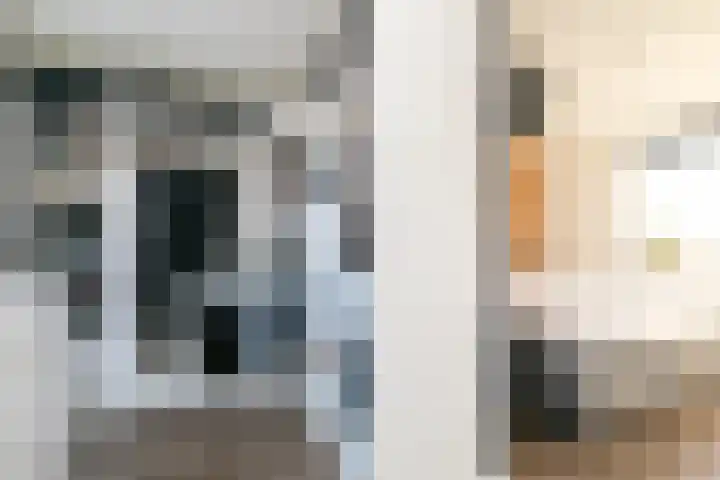 Zeldenrustlaan 6 Raamsdonksveer thumbnail 42