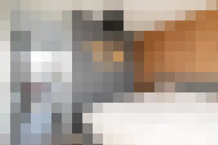 Zeldenrustlaan 6 Raamsdonksveer thumbnail 44