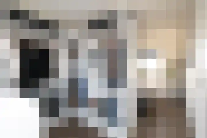 Zeldenrustlaan 6 Raamsdonksveer thumbnail 45