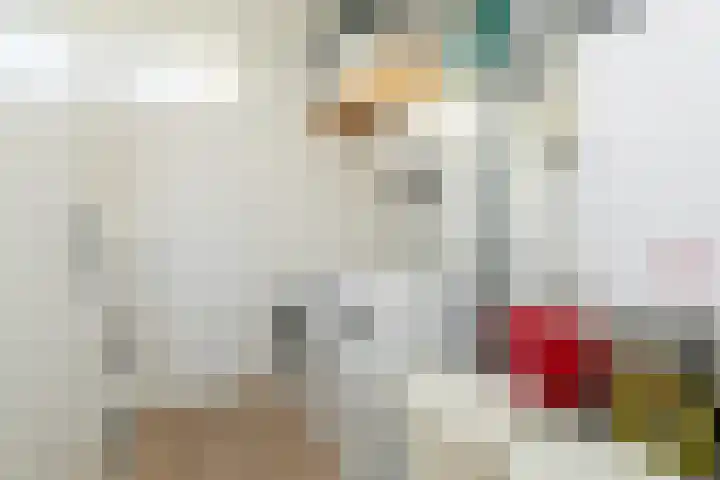 Zeldenrustlaan 6 Raamsdonksveer thumbnail 48