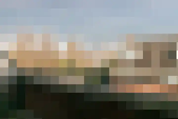 Zeldenrustlaan 6 Raamsdonksveer thumbnail 49