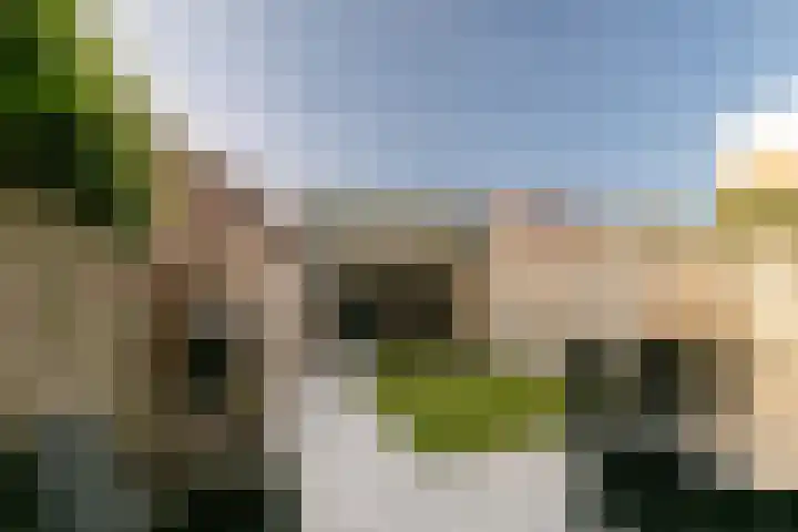 Zeldenrustlaan 6 Raamsdonksveer thumbnail 51
