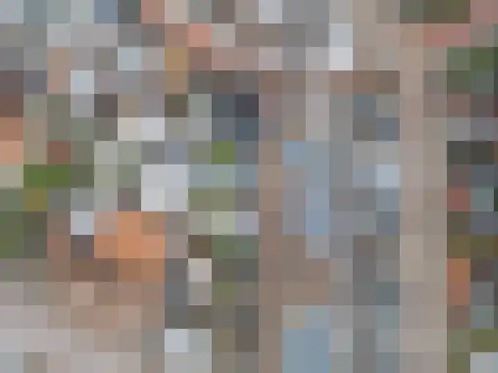 Zeldenrustlaan 6 Raamsdonksveer thumbnail 59