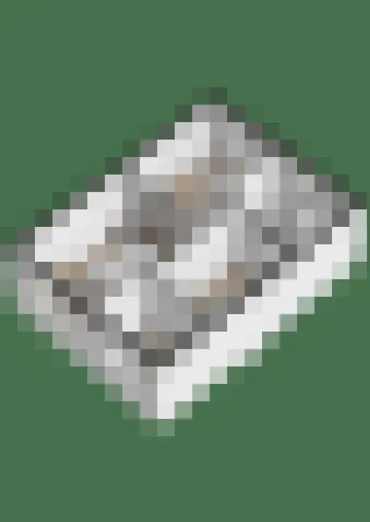 Zeldenrustlaan 6 Raamsdonksveer thumbnail 67