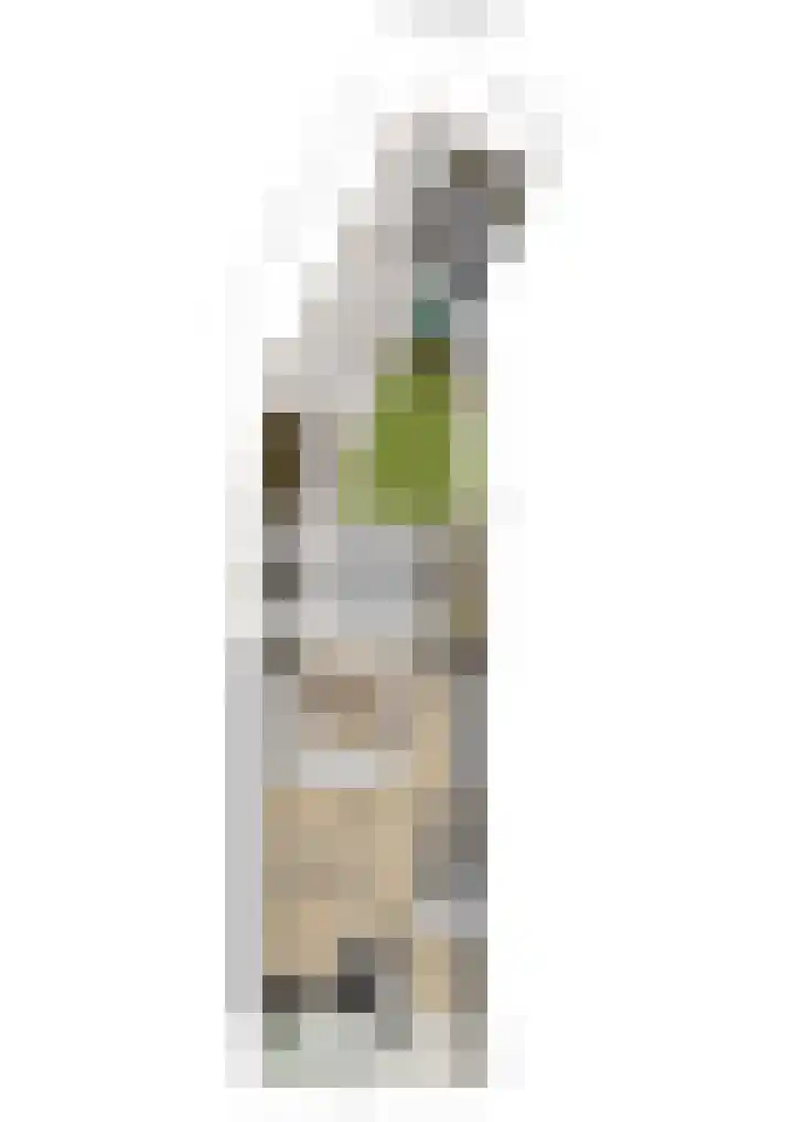 Zeldenrustlaan 6 Raamsdonksveer thumbnail 70