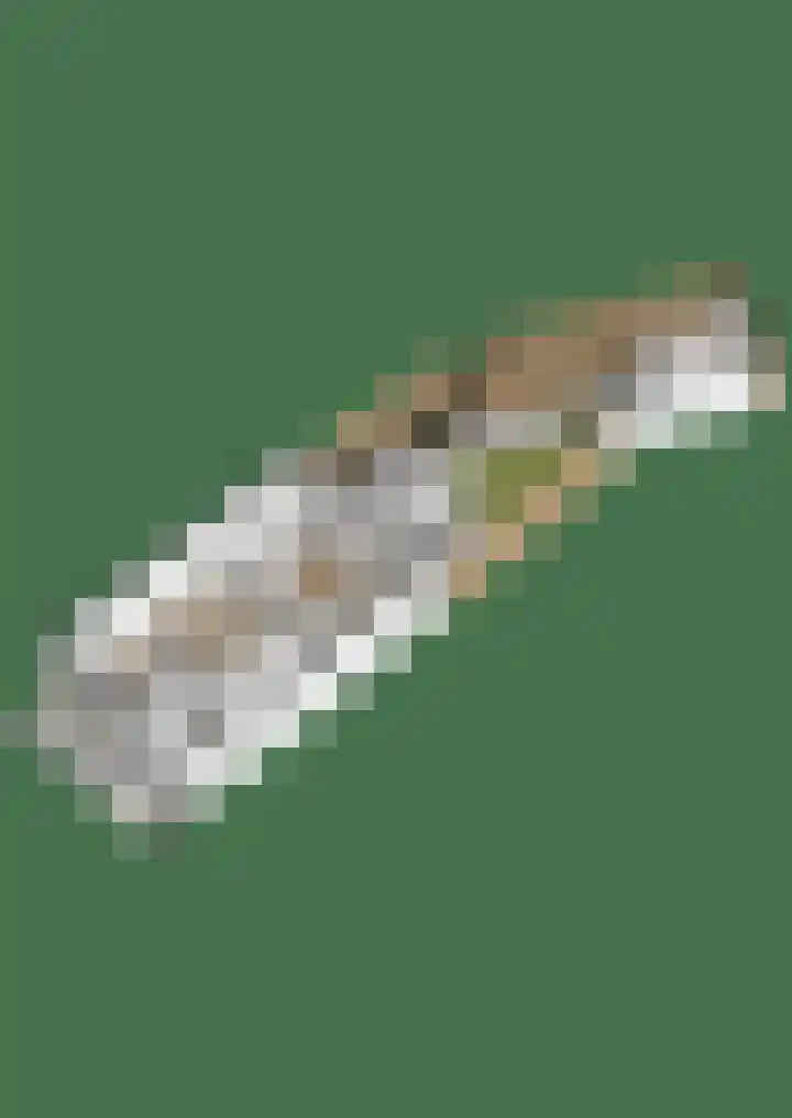 Zeldenrustlaan 6 Raamsdonksveer thumbnail 71