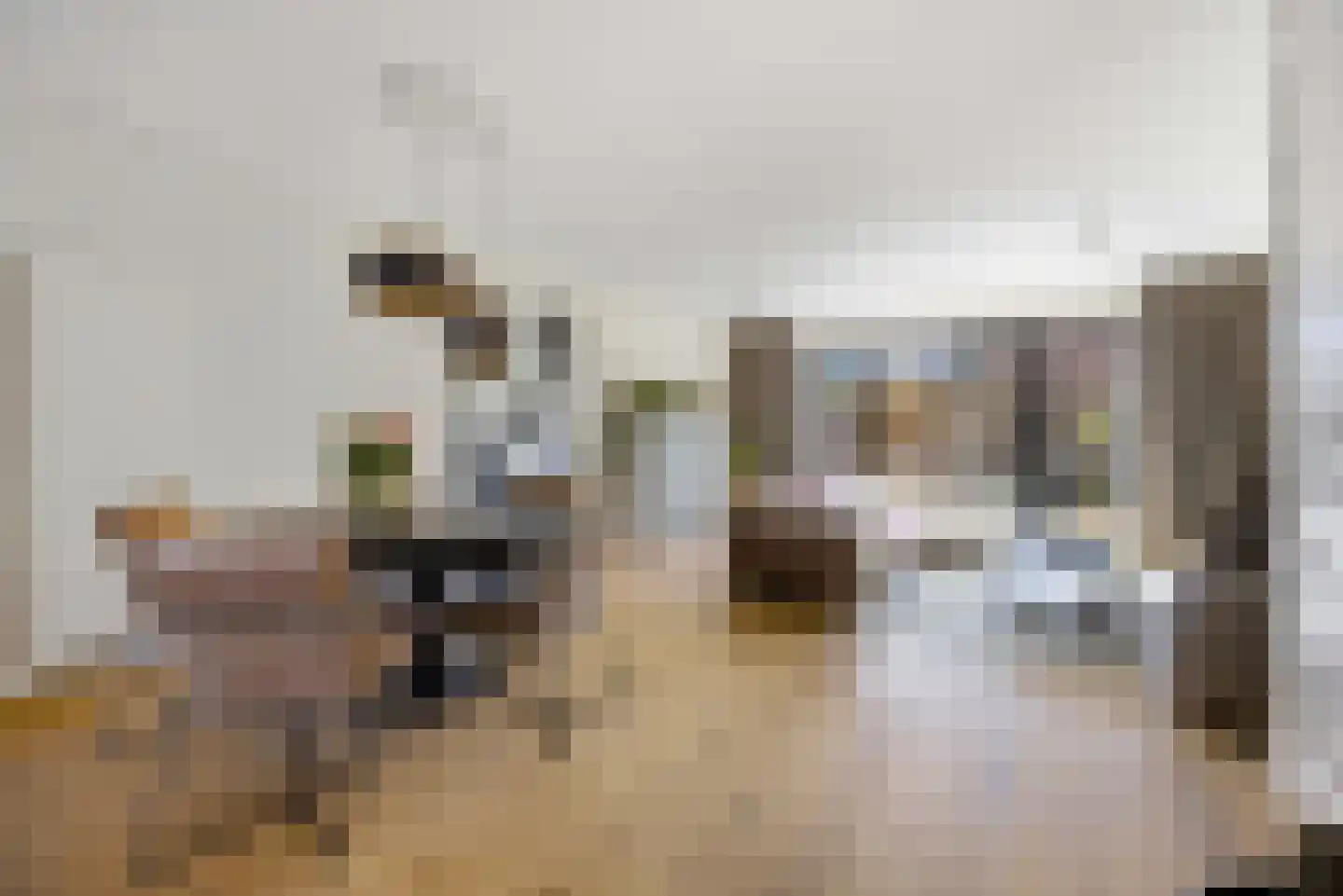 Zeldenrustlaan 8 Raamsdonksveer thumbnail 11