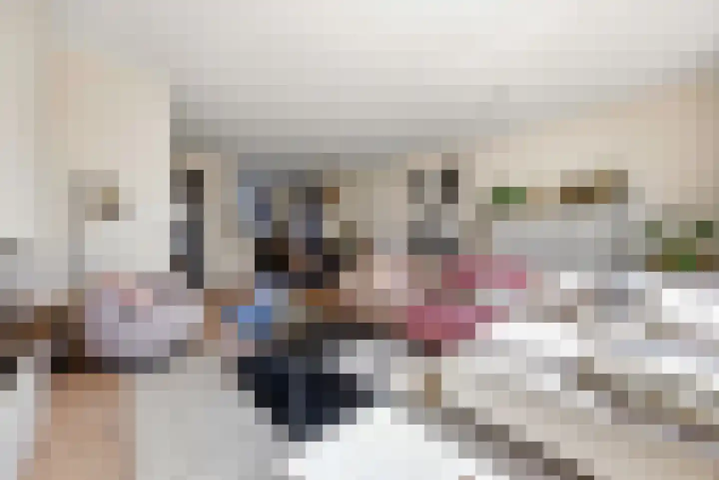 Zeldenrustlaan 8 Raamsdonksveer thumbnail 14
