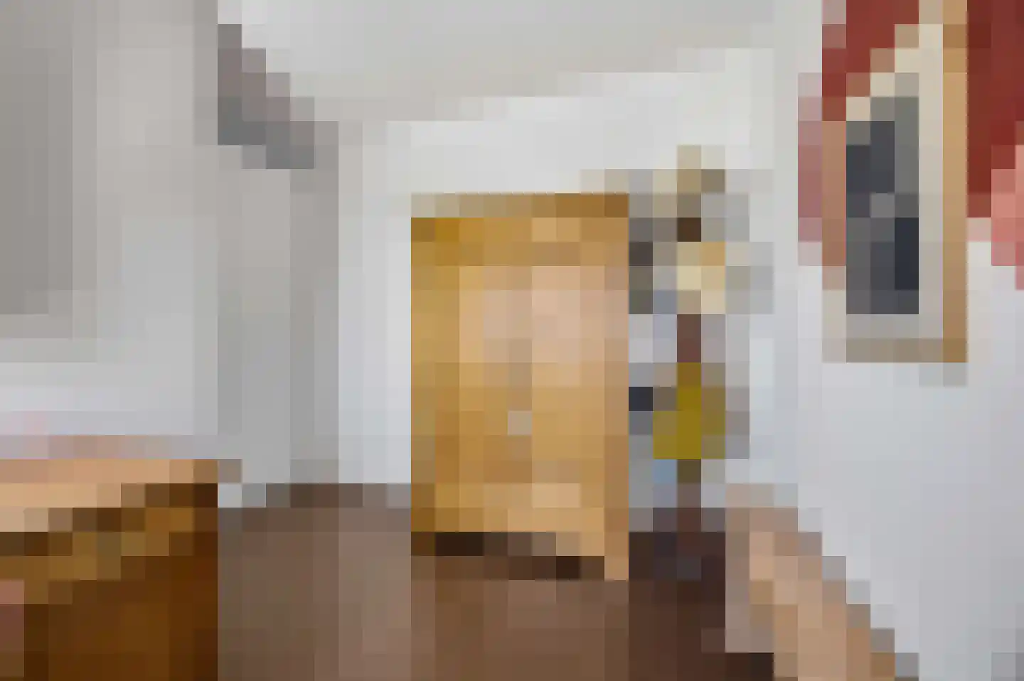 Zeldenrustlaan 8 Raamsdonksveer thumbnail 21