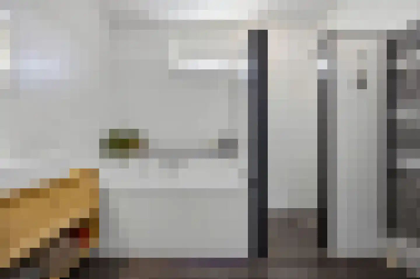 Zeldenrustlaan 8 Raamsdonksveer thumbnail 22