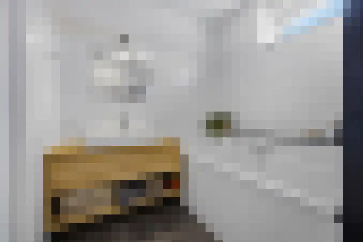 Zeldenrustlaan 8 Raamsdonksveer thumbnail 24