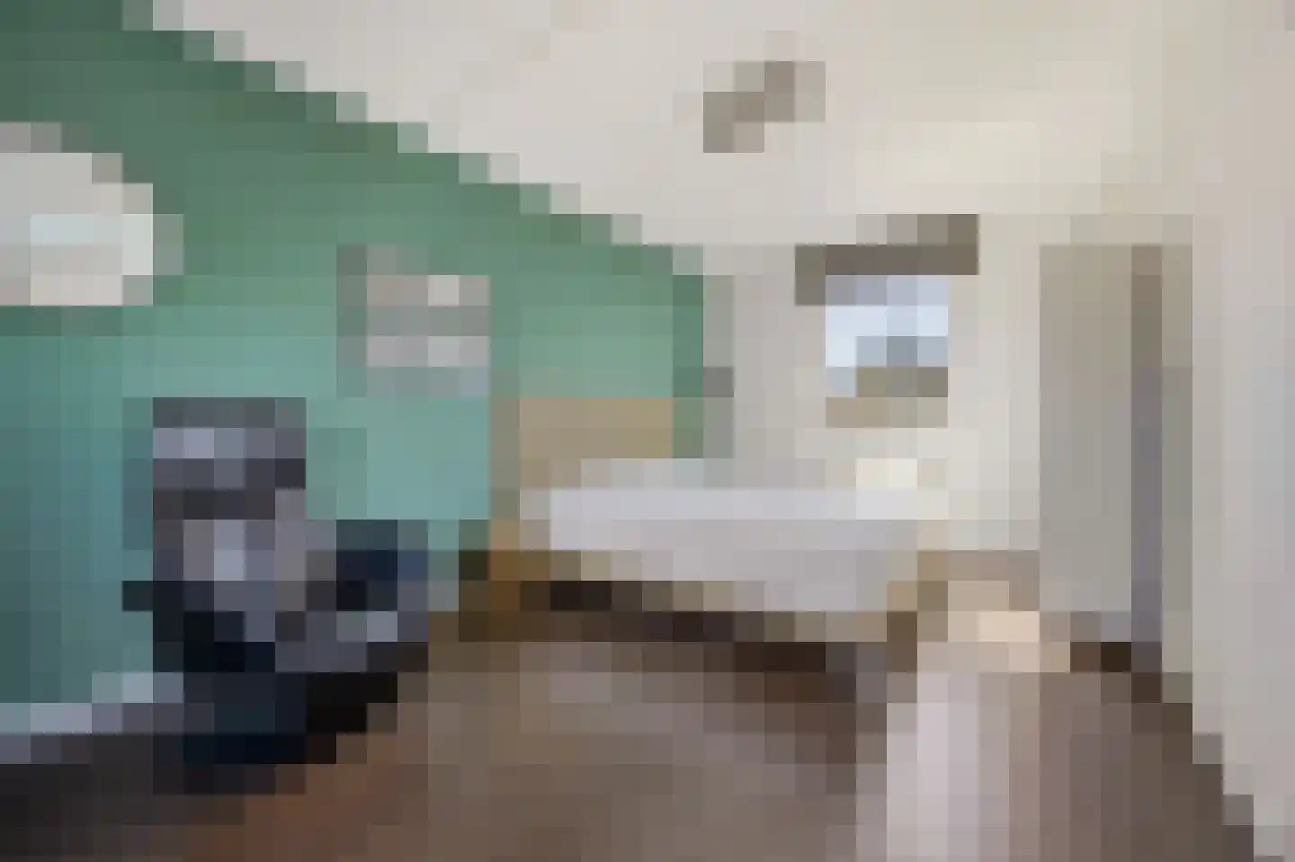 Zeldenrustlaan 8 Raamsdonksveer thumbnail 27