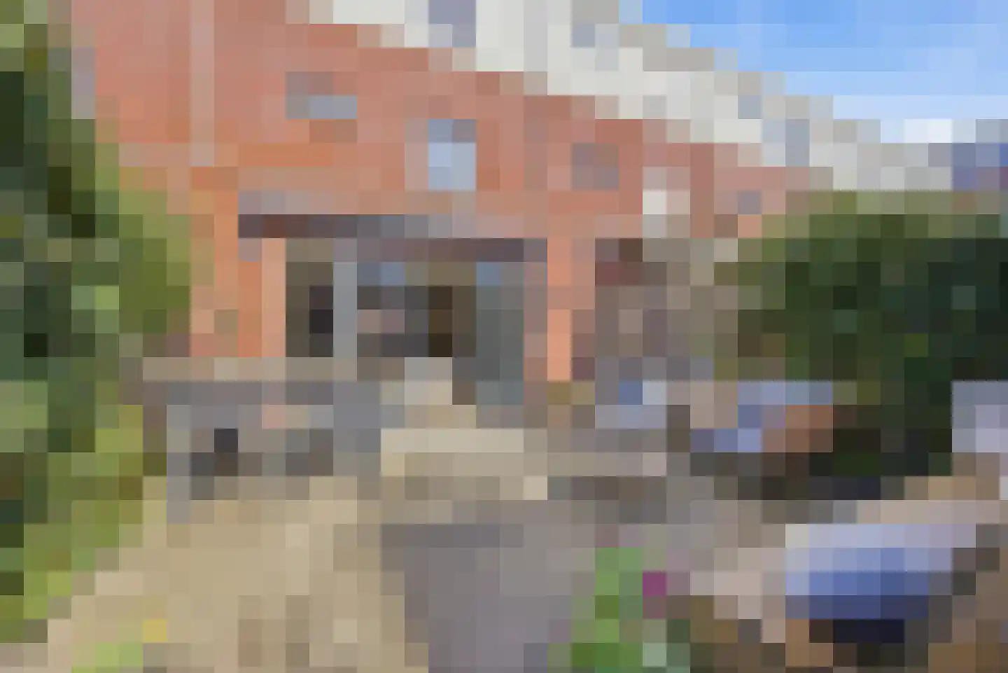 Zeldenrustlaan 8 Raamsdonksveer thumbnail 32