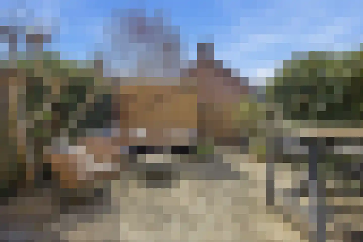Zeldenrustlaan 8 Raamsdonksveer thumbnail 35