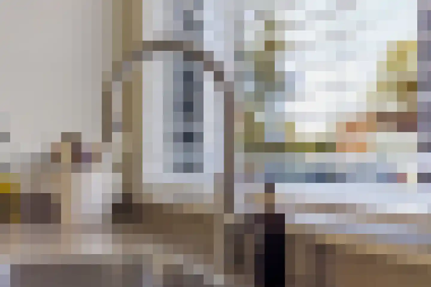 Zeldenrustlaan 8 Raamsdonksveer thumbnail 8