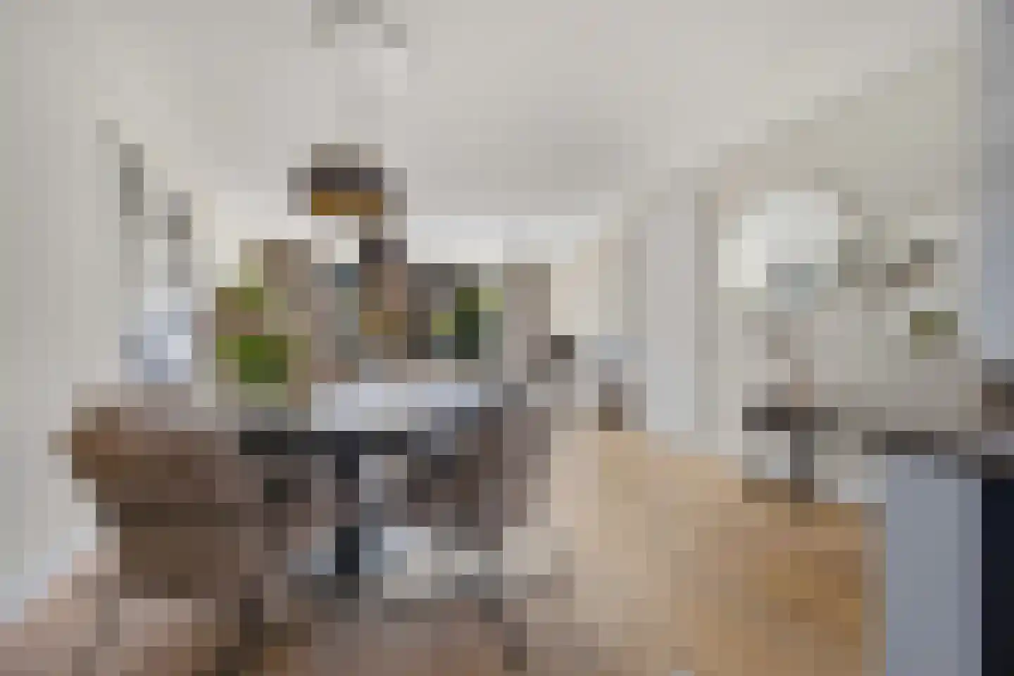 Zeldenrustlaan 8 Raamsdonksveer thumbnail 9