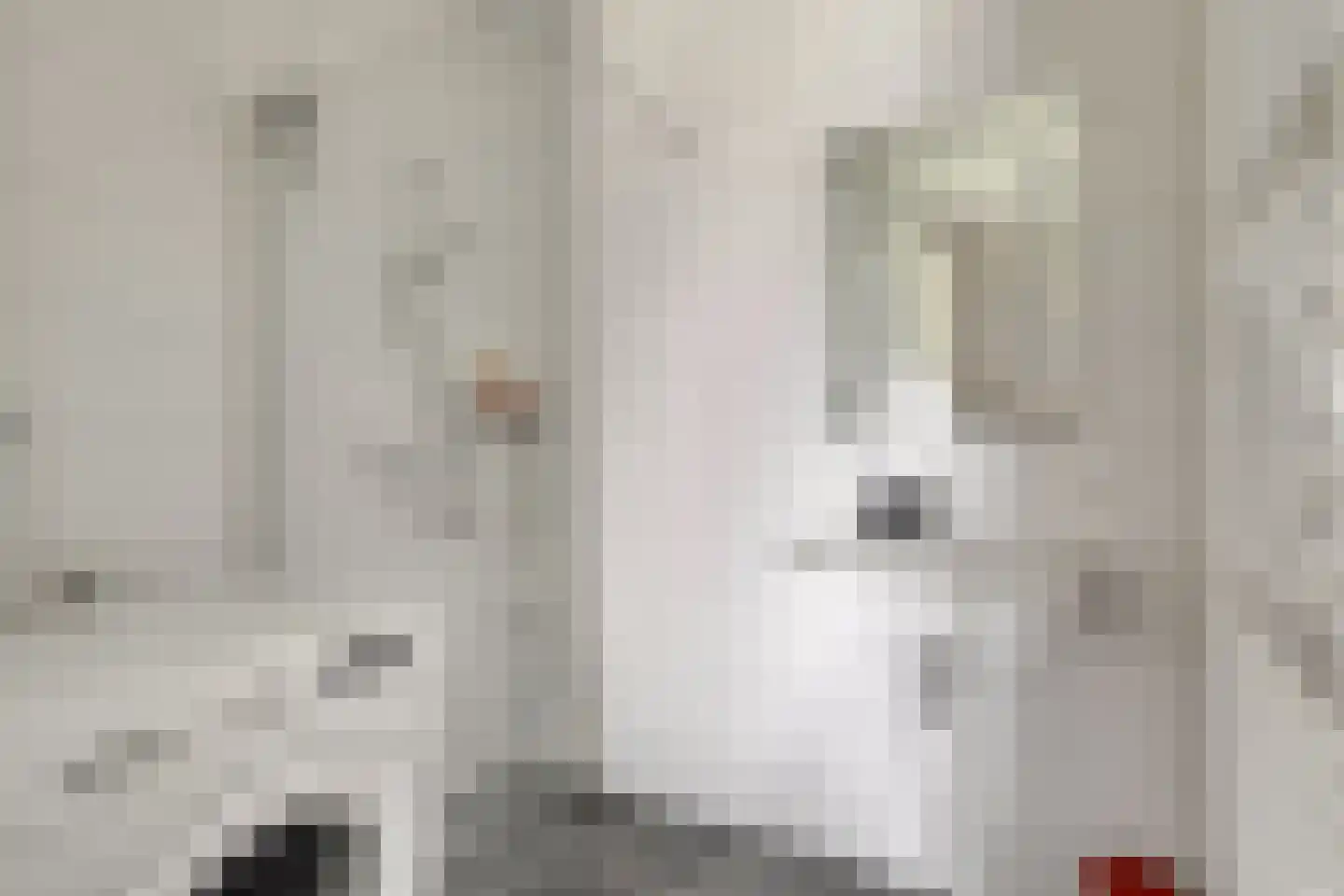 Zelder 1 Scherpenzeel thumbnail 18
