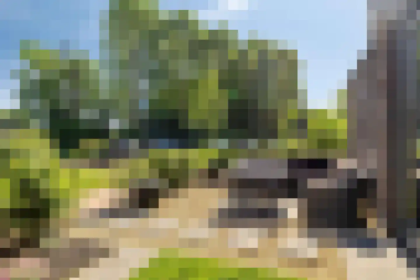 Zelder 1 Scherpenzeel thumbnail 20