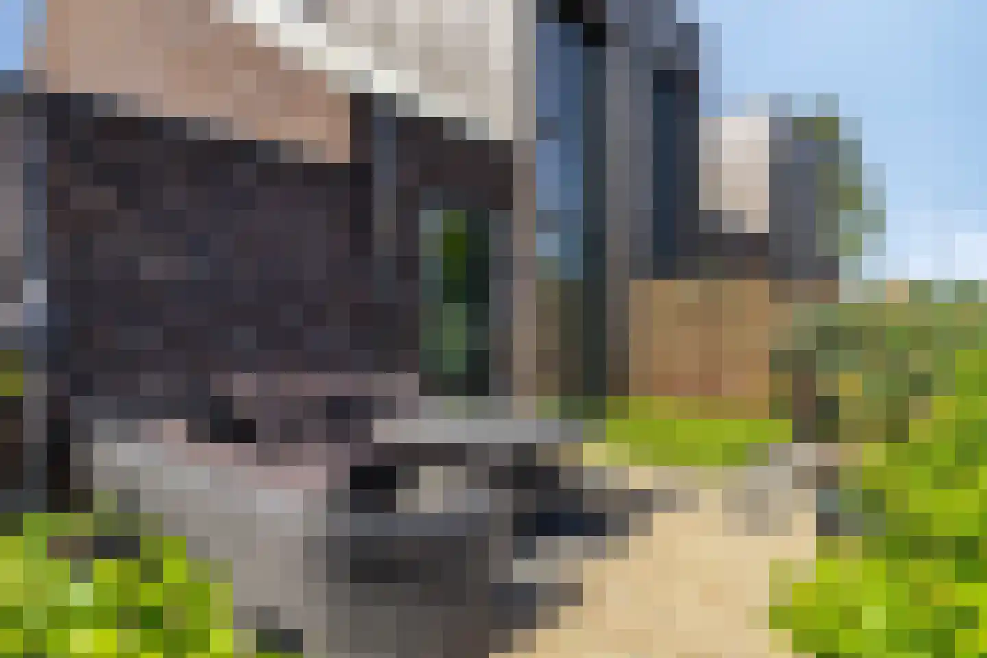 Zelder 1 Scherpenzeel thumbnail 22