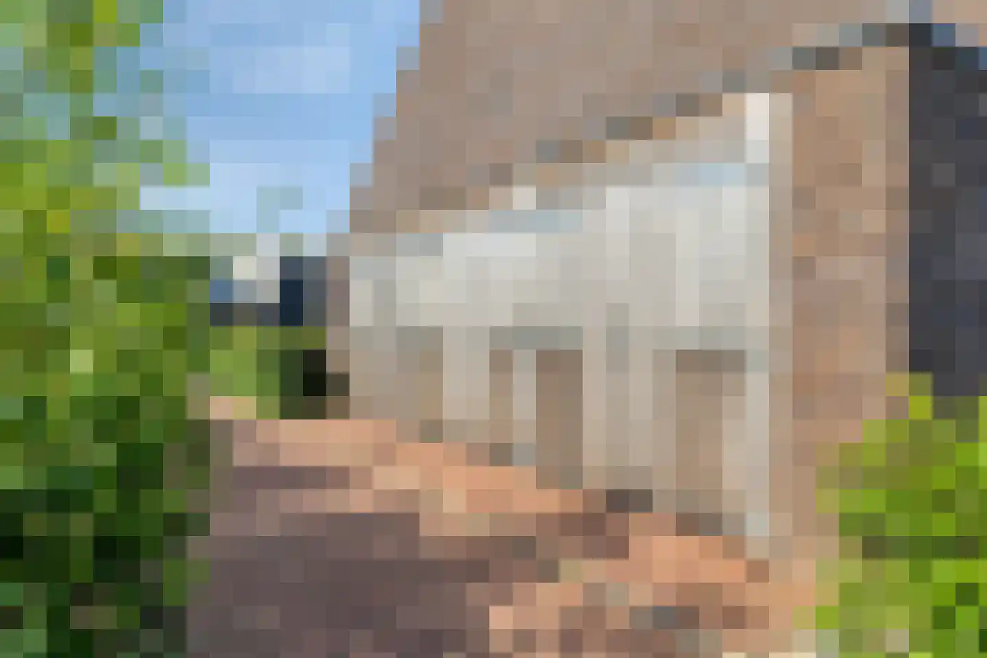Zelder 1 Scherpenzeel thumbnail 26