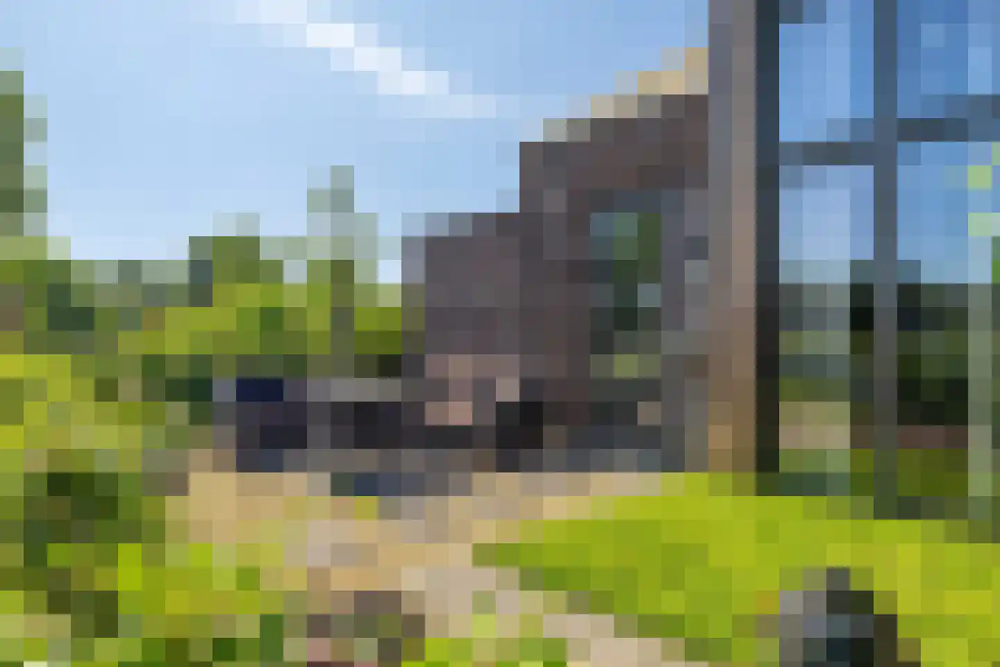 Zelder 1 Scherpenzeel foto 3