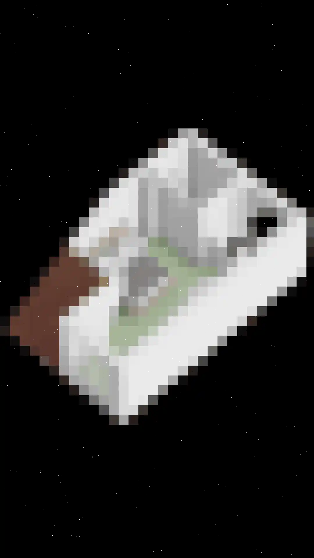 Zelder 1 Scherpenzeel thumbnail 34